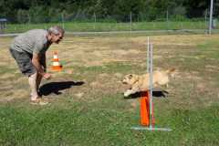 IMG-20200921-WA0074