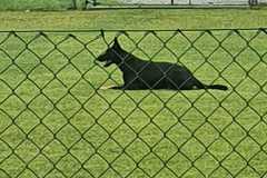 IMG-20200921-WA0076