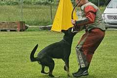IMG-20200921-WA0082
