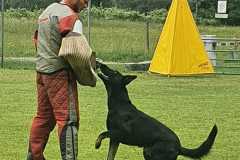 IMG-20200921-WA0083