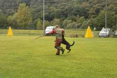 IMG-20200921-WA0086