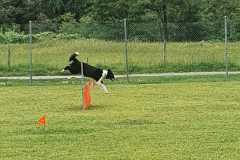 IMG-20200921-WA0089