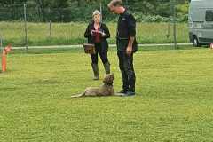 IMG-20200921-WA0090