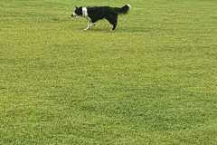 IMG-20200921-WA0091