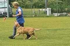 IMG-20200921-WA0093