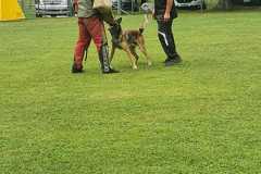 IMG-20200921-WA0120