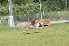 IMG_7382