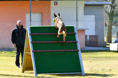 tra da nüm
