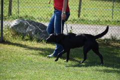 1_DSC_0220