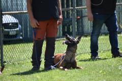 DSC_0010