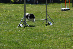 DSC_0026