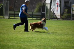 DSC_0123
