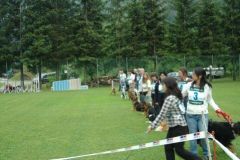 Giughem-2012-100