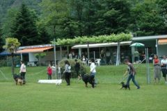 Giughem-2012-101
