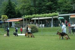 Giughem-2012-102