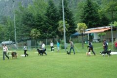 Giughem-2012-103