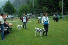 Giughem-2012-112