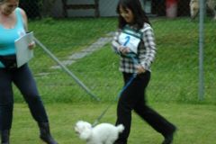 Giughem-2012-122