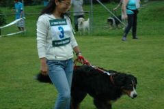 Giughem-2012-125