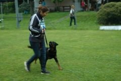 Giughem-2012-163