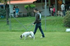 Giughem-2012-167