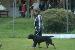 Giughem-2012-184