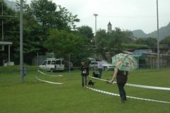 Giughem-2012-185