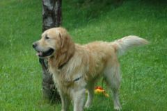 Giughem-2012-262