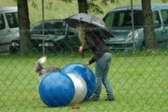 Giughem-2012-292