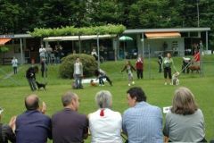 Giughem-2012-63