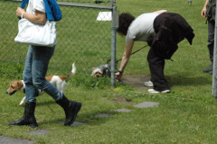 1_Giughem2011-27