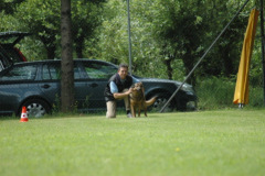 1_Giughem2011-31