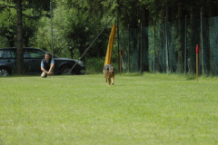 1_Giughem2011-32