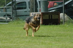 1_Giughem2011-33