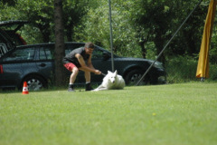 1_Giughem2011-35