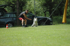 1_Giughem2011-36