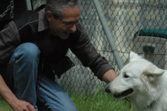 1_Giughem2011-41