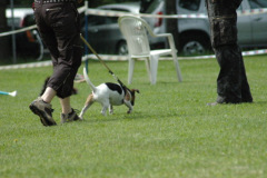 1_Giughem2011-46