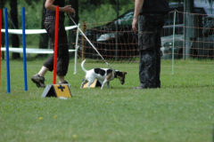 1_Giughem2011-47