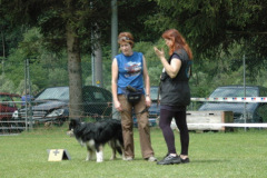 1_Giughem2011-49