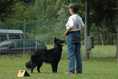 1_Giughem2011-50