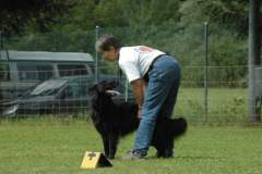 1_Giughem2011-51