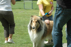 Giughem2011-107