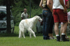 Giughem2011-117