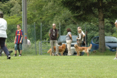 Giughem2011-122