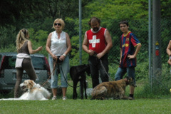 Giughem2011-124