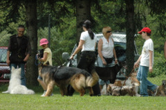 Giughem2011-131