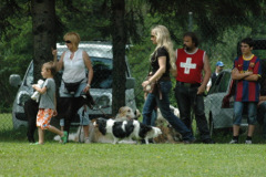 Giughem2011-139