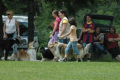 Giughem2011-140