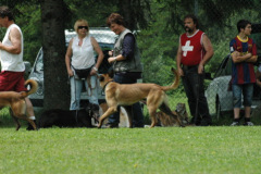 Giughem2011-145